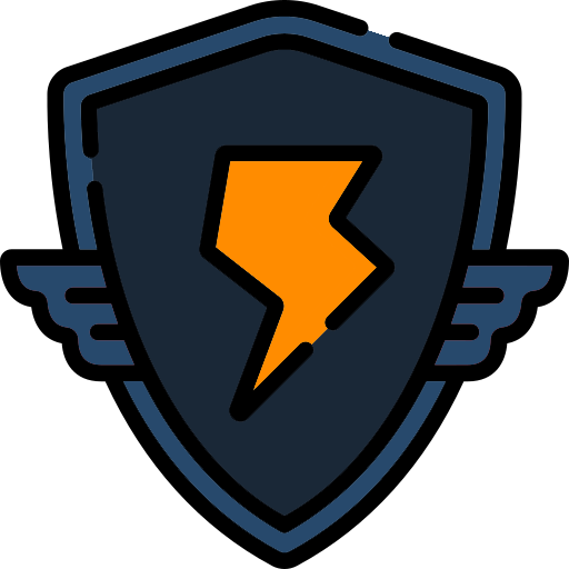 EasyNetShield logo